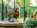Außenbereich, Holiday Home Ladonja and Rural Home Oriana, Manjadvorci, Istrien, Kroatien Barban
